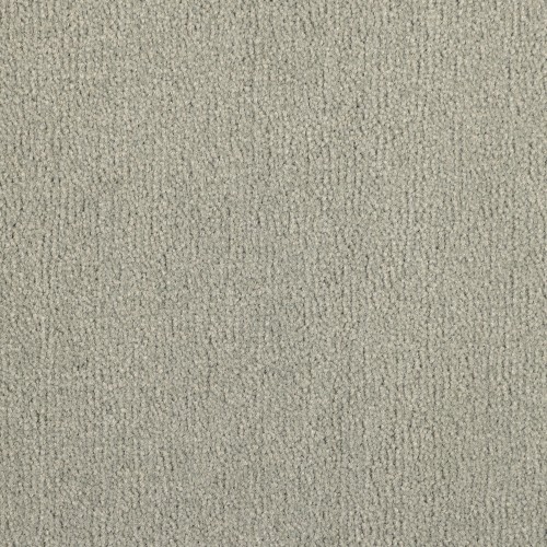 Wykładzina obiektowa Leoxx Plain Velvet 462