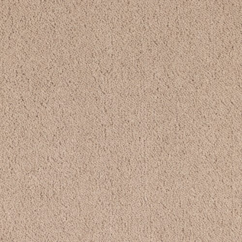 Wykładzina obiektowa Leoxx Plain Velvet 830