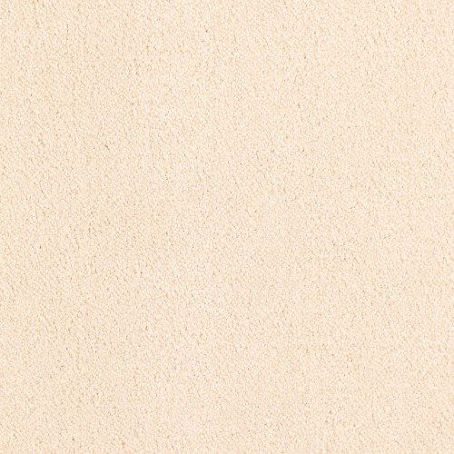 Wykładzina obiektowa Leoxx Plain Velvet 851