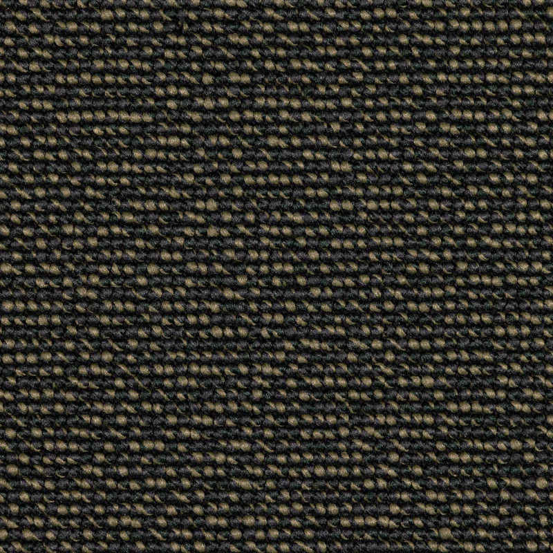 color-twist-492_1-1750672133.jpg