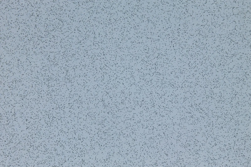 a66f6a70402d8df77bf505e5c608795f