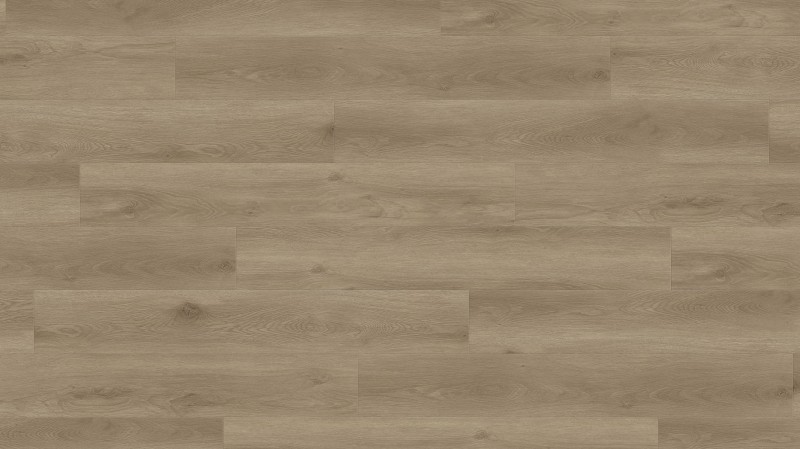 ebf5f9fd1ba4cc201093256cea91814e