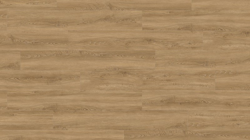 79a765e33ae289117acd4daeb0c7ffff