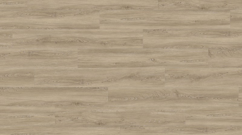 cee56eed6cac6520428eaaf244ca88b6