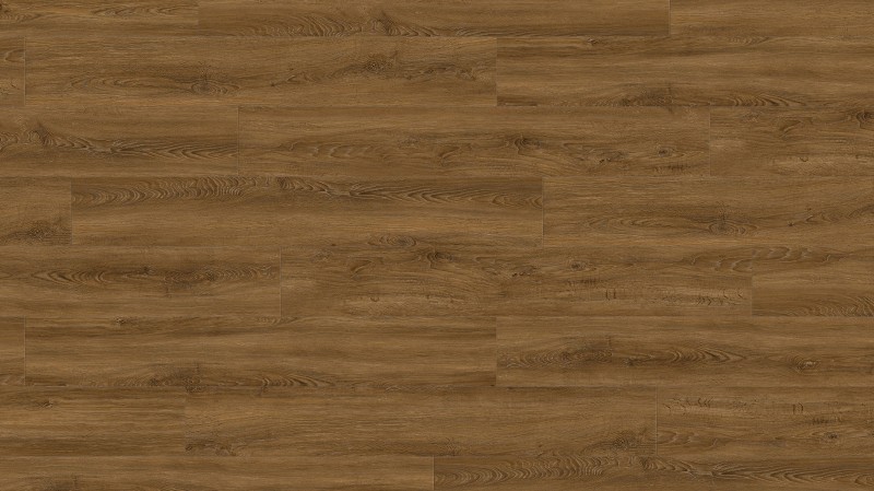 e3f2e9e738230ce55c276110a9c6890f