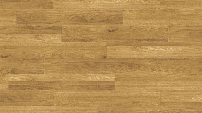 e941a8ab77603617ec2fc148919da674