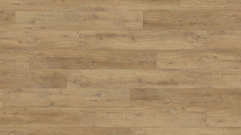 40abb07712e59bd1e97a7ce27b4a16ad