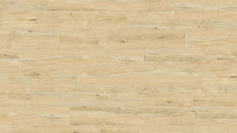 006ef12ae6f0d25f7c774ccd2a58c01a