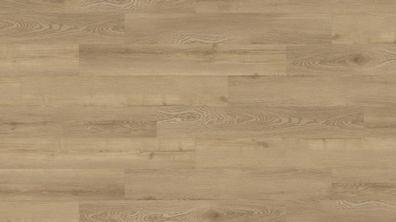 3deeb8e495a6d156676f5b41e632dac5