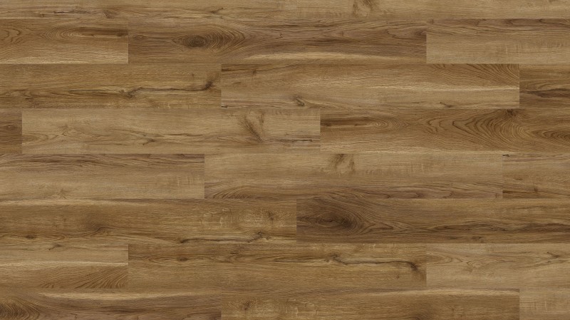 8ae642ad0c20246cb3e59959d15ff09b