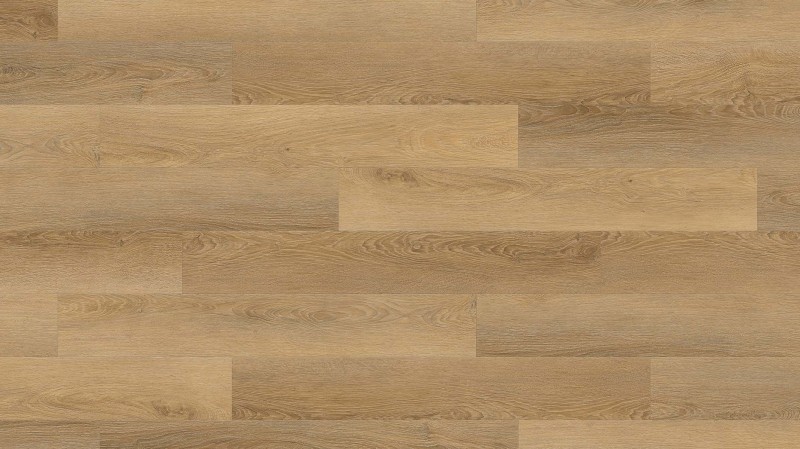 53a52e239b706e123f6d3b50d2e01b86