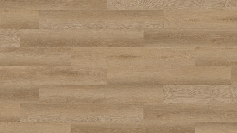 00d093a5d69f07c2c126872f64503cf7