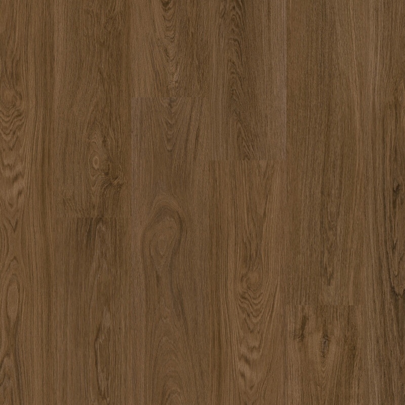 b3dbf48d1ee6b49dafe62814b1130df6