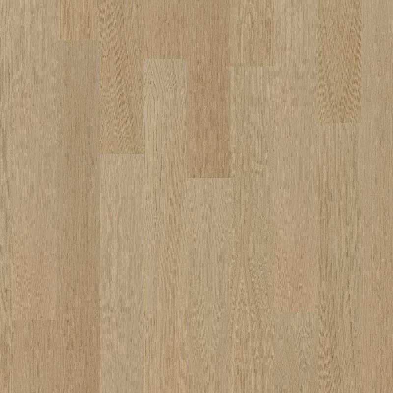 ef77fc5252c8678a5736c6885d307450