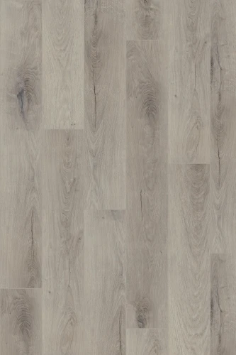 Panel winylowy Invictus Primus Royal Oak Dove 93 - Dryback