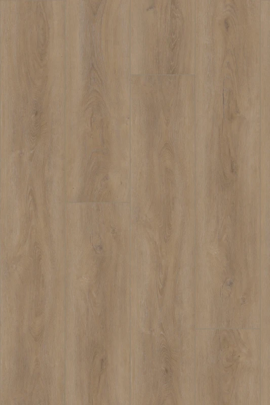 Divine Oak_COOKIE_plank_formation_1000x1500_HR (1).jpg