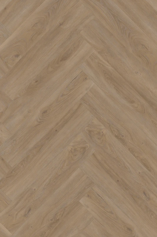 Divine Oak_Cookie_150x749_formation_1000x1500_HR (1).jpg