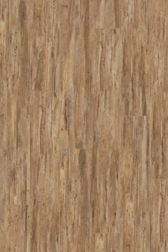 Panel winylowy Invictus Maximus Tropical Forest Havana 38 - Dryback