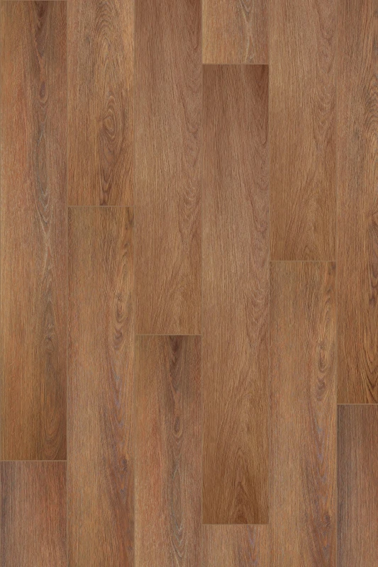 Velvet Oak_Grace_formation_1000x1500_HR (1).jpg