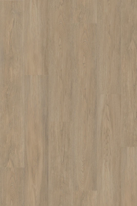 New England Oak_Sand_formation_1000x1500_HR (1).jpg