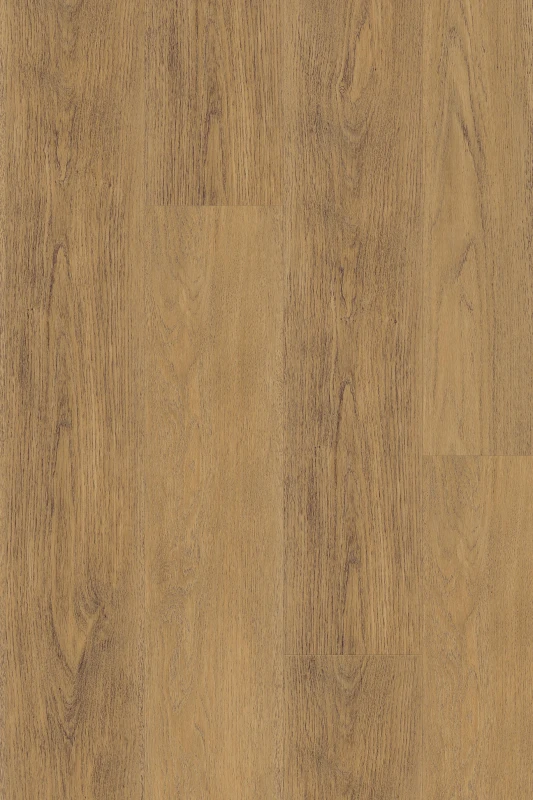 New England Oak_Toffee_formation_1000x1500_HR (1).jpg