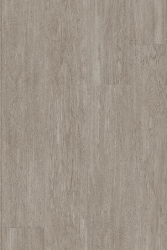 New England Oak_Misty_formation_1000x1500_HR (1).jpg