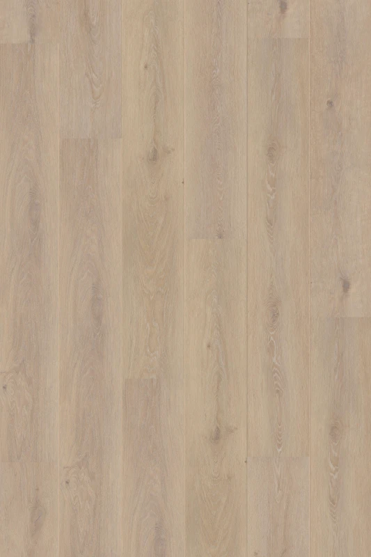 Silk Oak_Latte_formation_1000x1500_HR (1).jpg