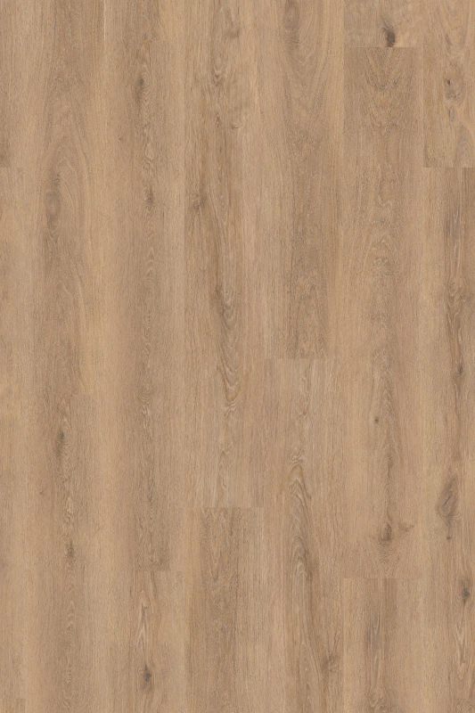 Silk Oak_Oat_formation_1000x1500_HR (1).jpg