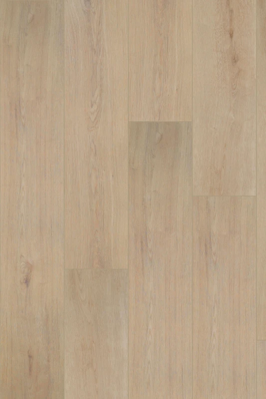 Belrose Oak_Truffle_formation 1000x1500_HR (1).jpg