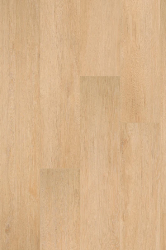Regency Oak_Scone_formation 1000x1500_HR.jpg