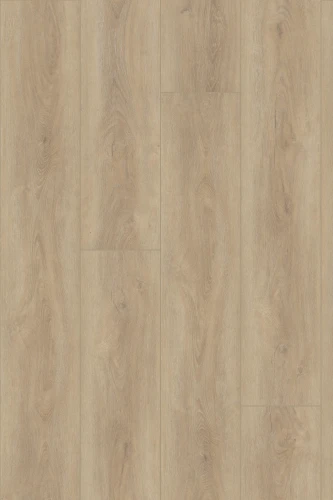 Panel winylowy Invictus Maximus Divine Oak Champagne 31 - Dryback