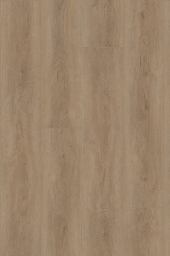 Panel winylowy Invictus Maximus Divine Oak Cookie 32 - Dryback