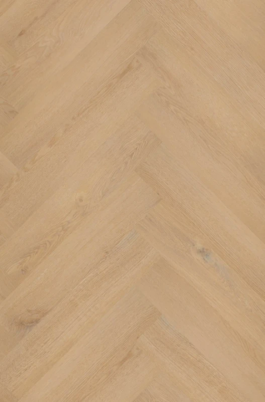 Sesame.png