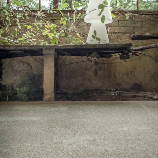 bd24a5250fba0a03a9a71770df3eadb6