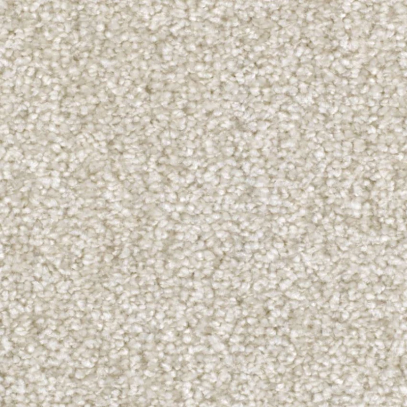 e9d1110fe10a6c11d61d6561e1099983