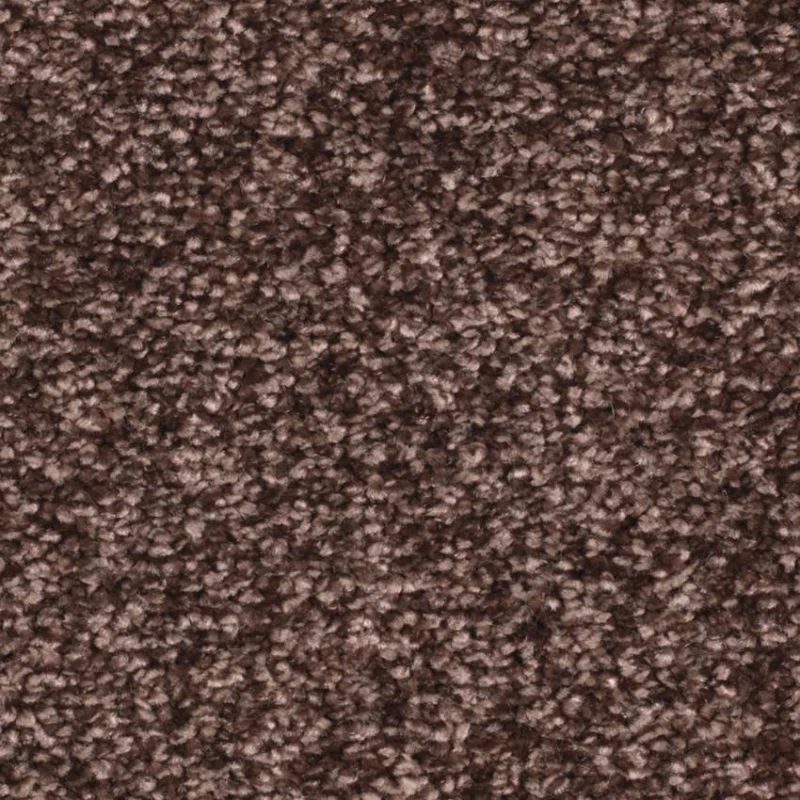 e0045c583f5bbffaa1164c7491b2217c
