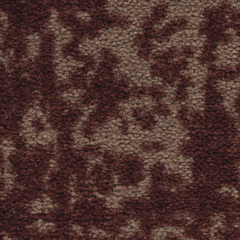 c4780ae35ed2aa0dfc5d43d7594da580