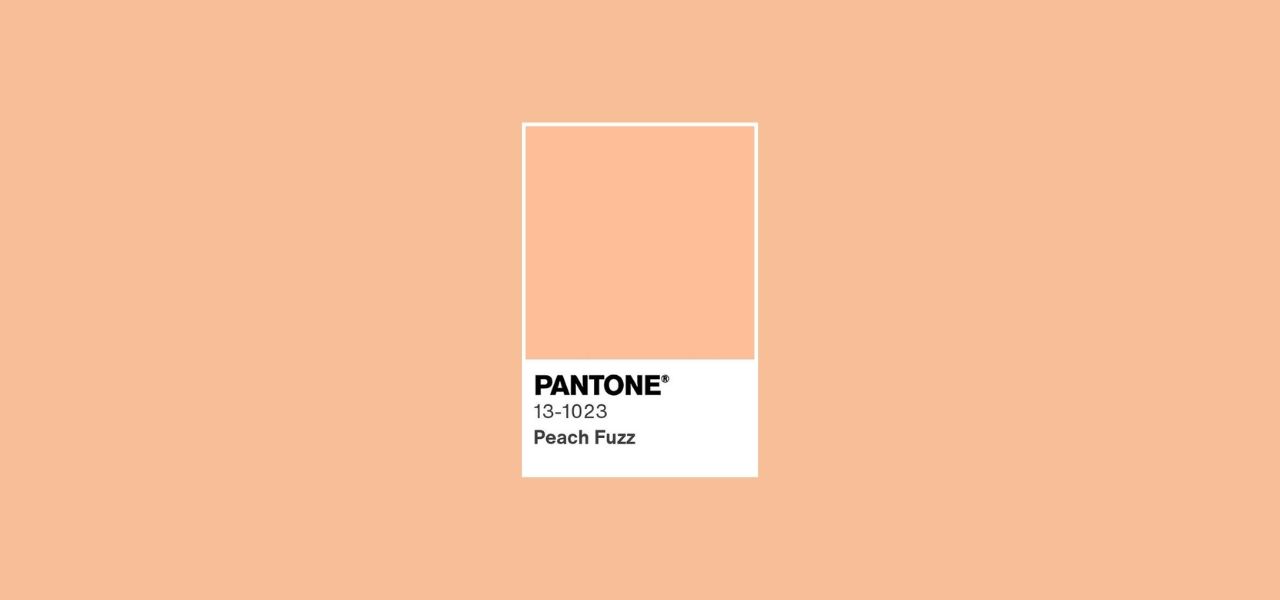 Peach Fuzz 2024